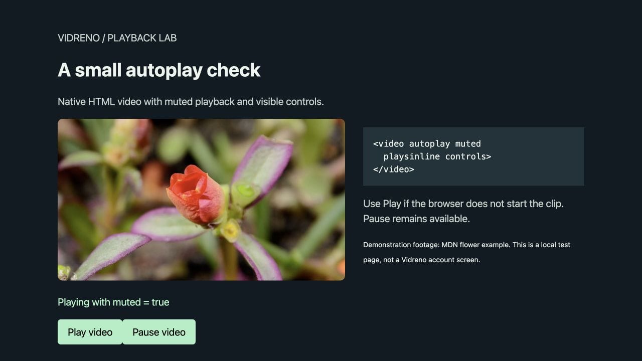 Local autoplay test page showing a flower video playing silently beside its HTML attributes